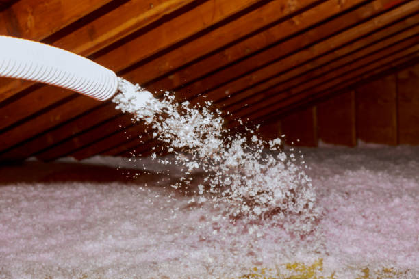 Best Fiberglass Insulation in Lawrence, KS