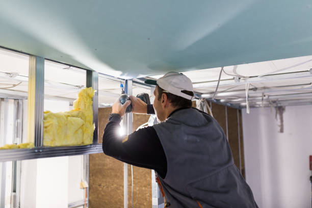 Best Insulation Maintenance and Repair in Lawrence, KS
