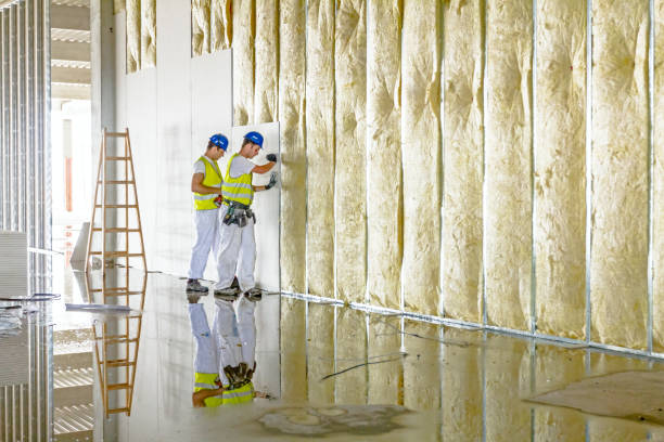 Best Energy Efficiency Insulation in Lawrence, KS